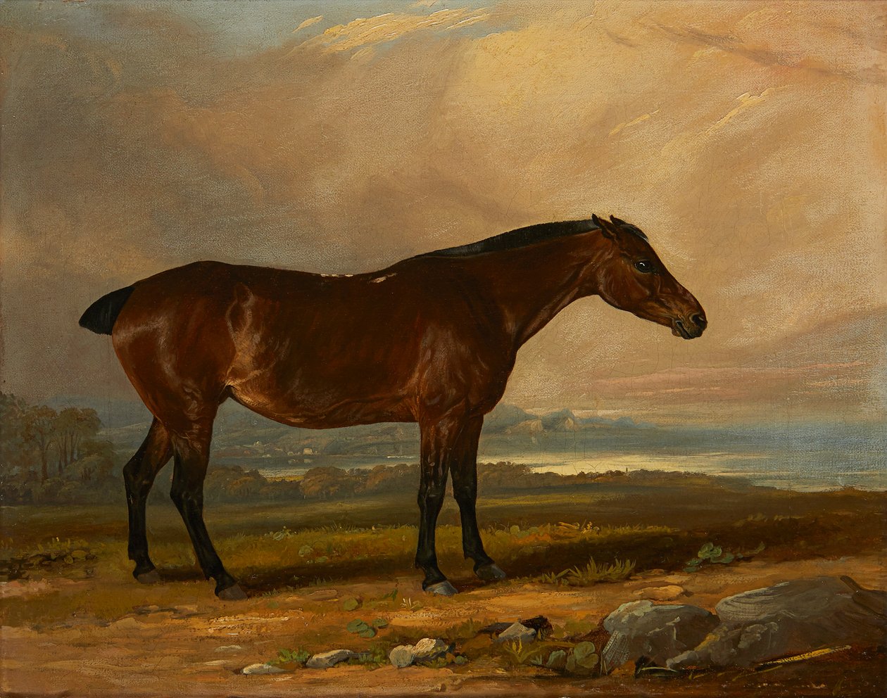 Tanulmány egy Bay Hunterről a tájban (olaj, vászon) alkotó: Henry Calvert