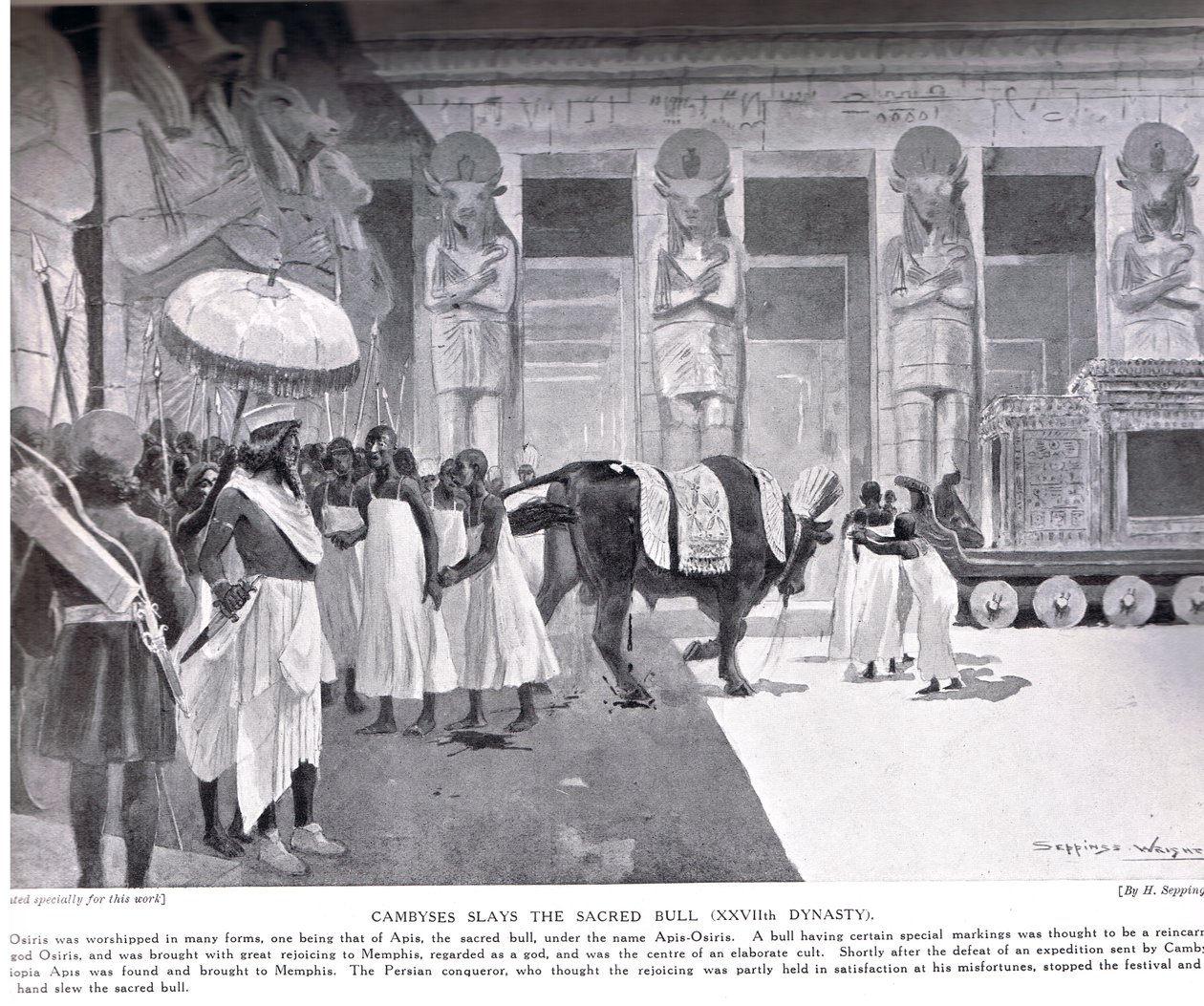 Cambyses megöli a Szent Bikát, illusztráció a Hutchinson History of the Nations-ből, 1910 körül alkotó: Henry Charles Seppings Wright