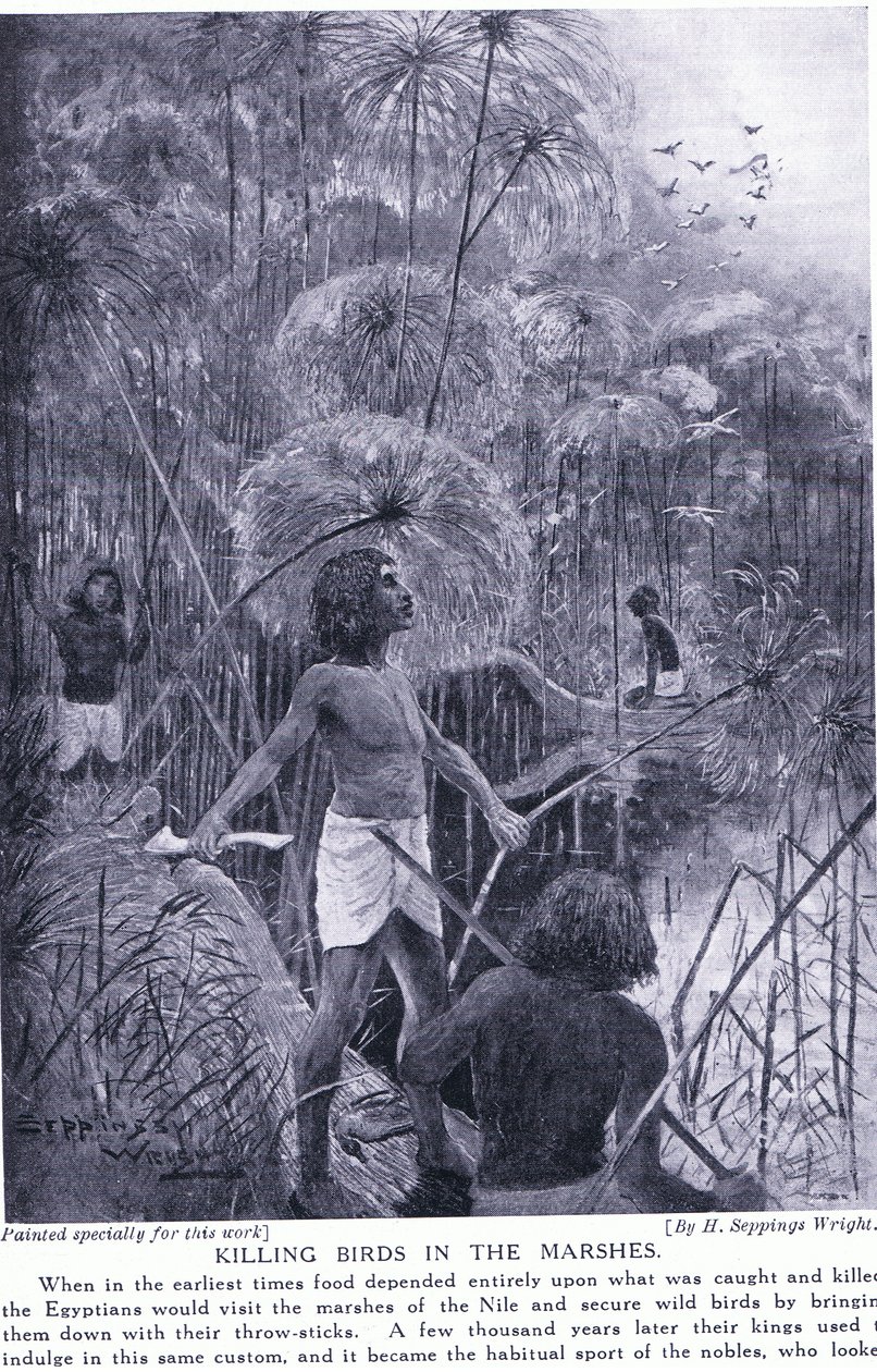 Madarak irtása a mocsárban, 1920 körül alkotó: Henry Charles Seppings Wright