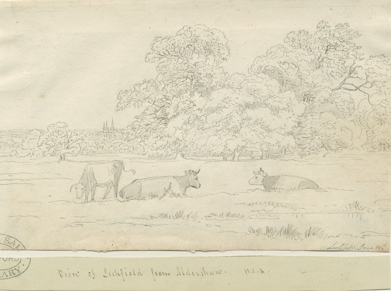 Lichfield – Kilátás Aldershaw felől alkotó: Henry Curzon Allport