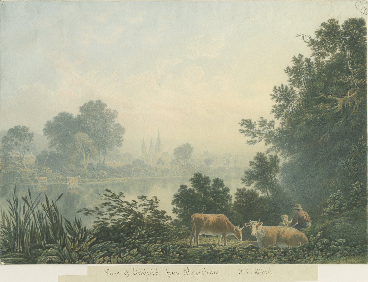 Lichfield katedrális - kilátás Aldershaw felől alkotó: Henry Curzon Allport