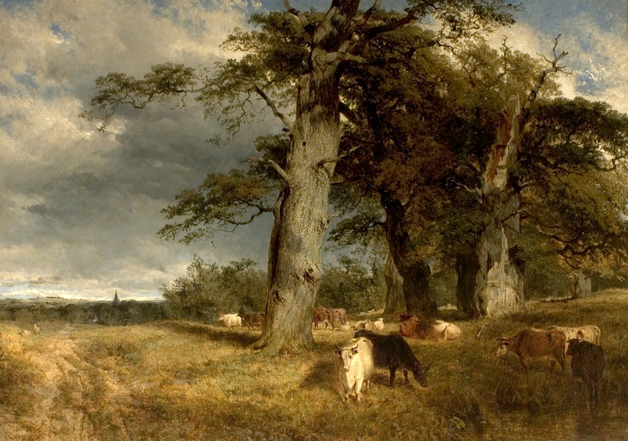 Táj a Dukeriesben, Nottinghamshire, 1850 alkotó: Henry Dawson