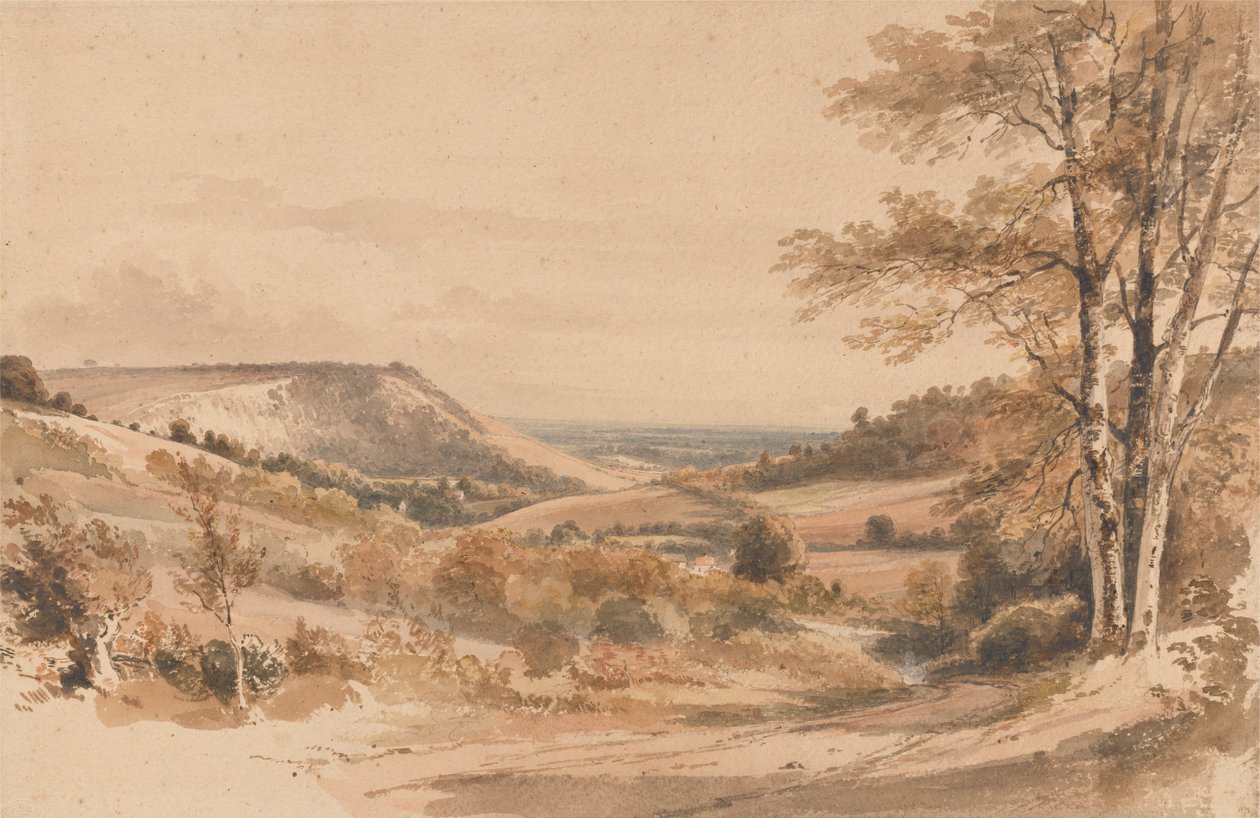 Boxhill a Westhumble Lane-ről alkotó: Henry Edridge