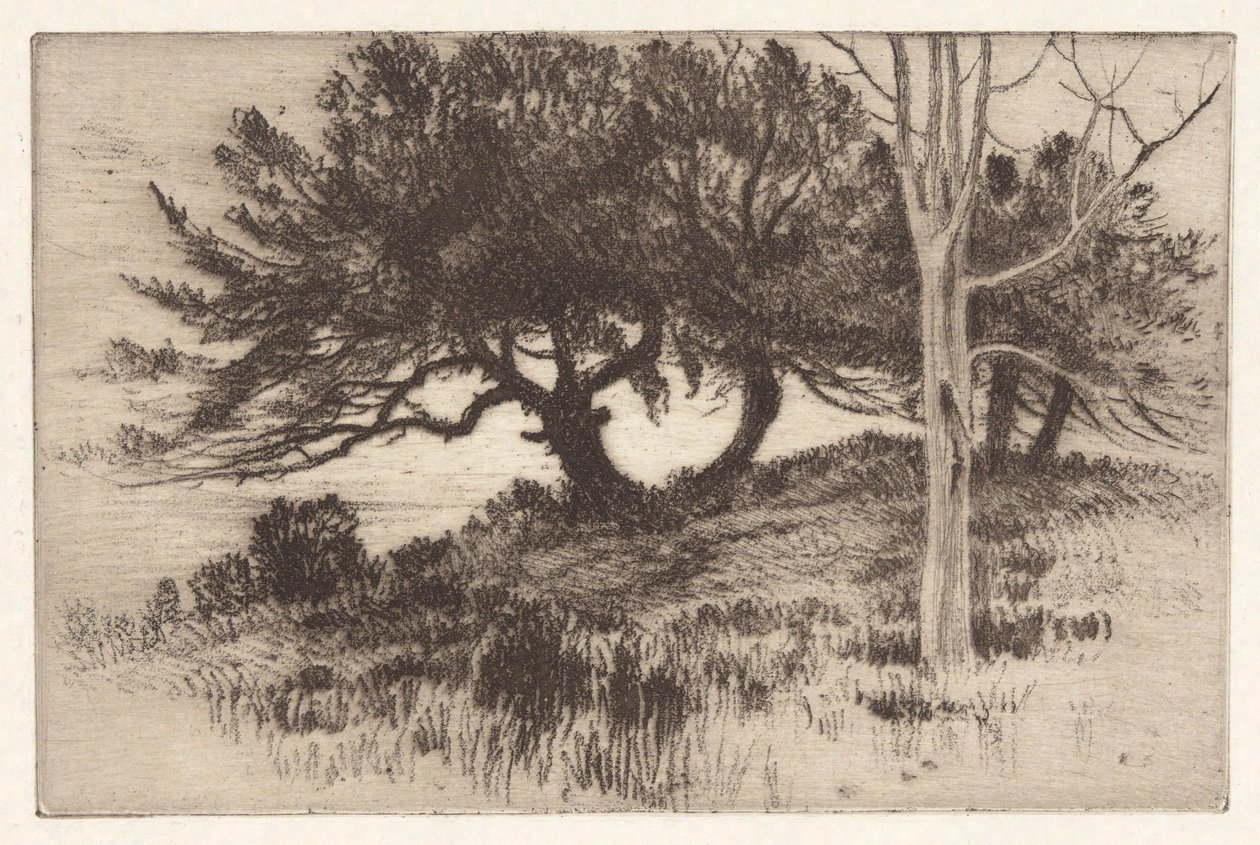 A tenger mellett alkotó: Henry Farrer