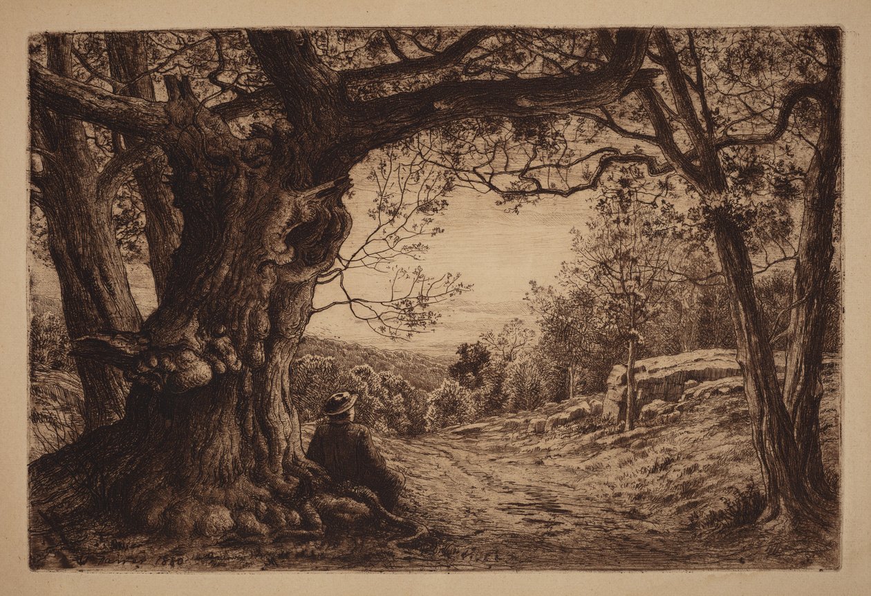 A hegyoldalon alkotó: Henry Farrer