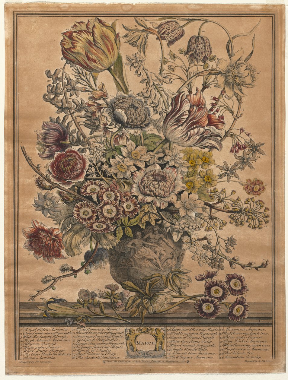 A virágzás tizenkét hónapja: 1730. március. alkotó: Henry Fletcher