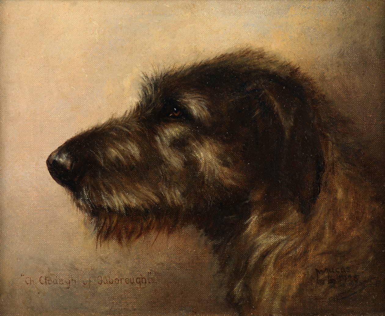 Ouborough Clodagh bajnoka, az ír farkaskutya alkotó: Henry Frederick Lucas Lucas