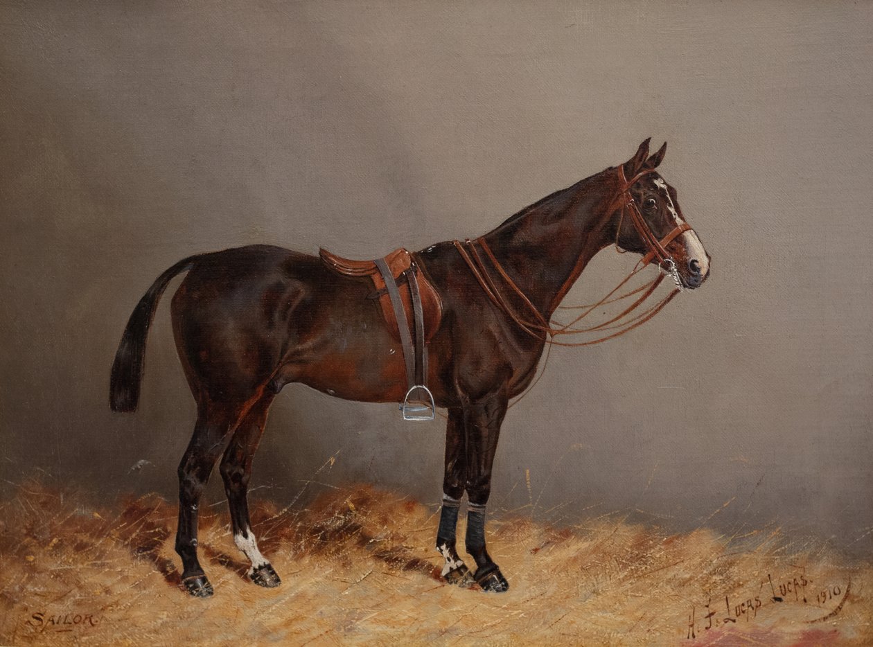 Tengerész alkotó: Henry Frederick Lucas Lucas