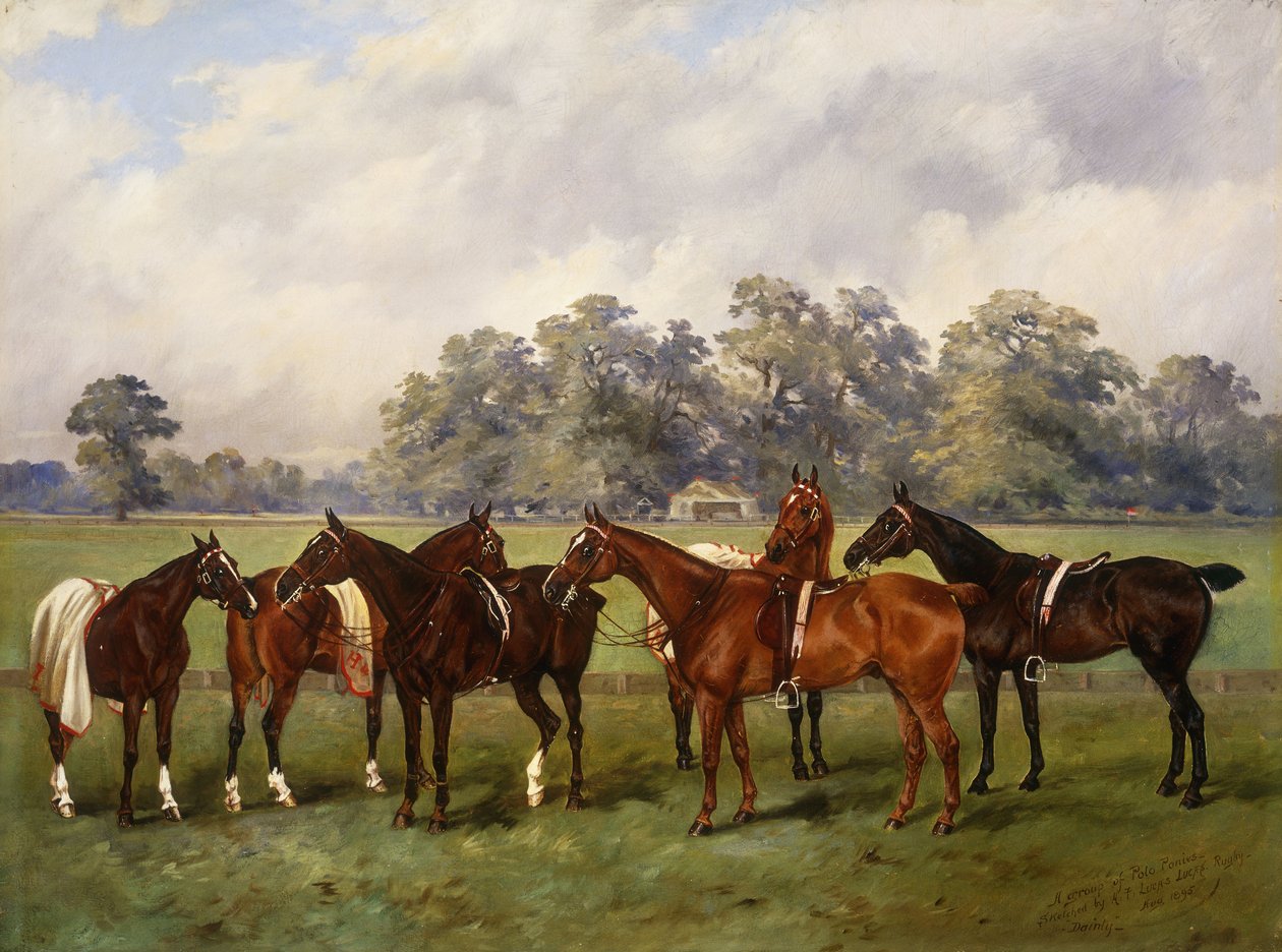 Polo pónik csoportja, Dainty, Gold, Redskin, Miss Edge és Piper, Sir Humphrey de Trafford birtoka, Bart, 1895 alkotó: Henry Frederick Lucas Lucas