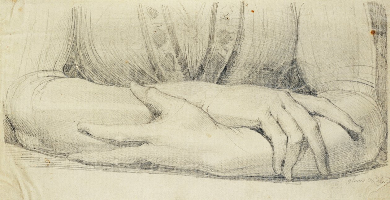 Tanulmány egy nő kesztyűs karjairól, 1798 alkotó: Johann Heinrich Füssli