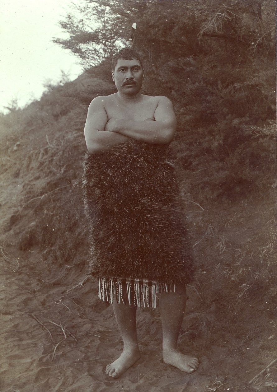 Maori tanulmány, 1910 körül (ezüst zselatinos nyomat) alkotó: Henry Gaze