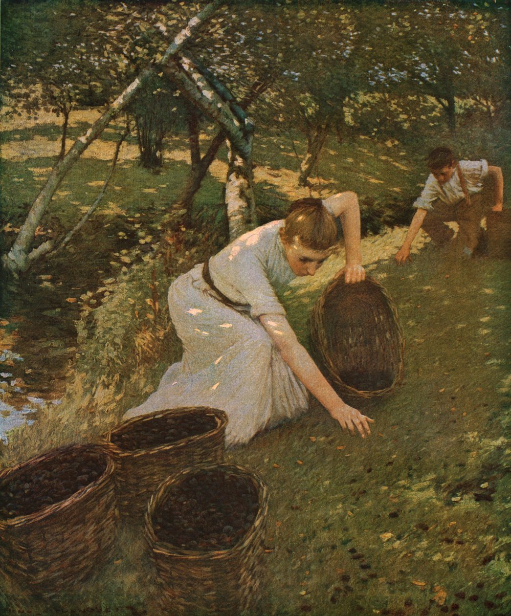 Szilvagyűjtés, 1901, c1930. alkotó: Henry Herbert La Thangue
