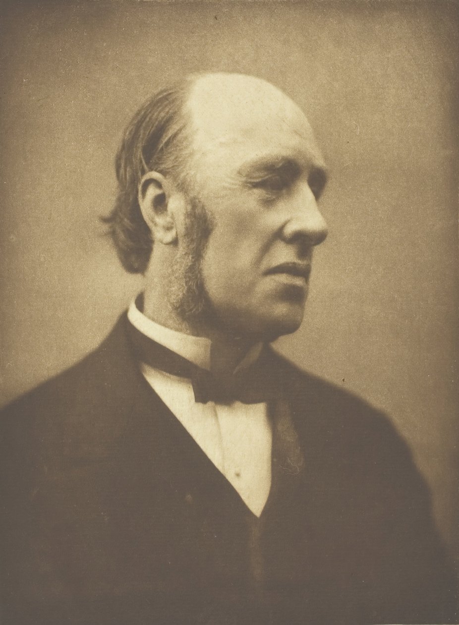 William Edward Hartpole Lecky, c. 1893. alkotó: Henry Herschel Hay Cameron