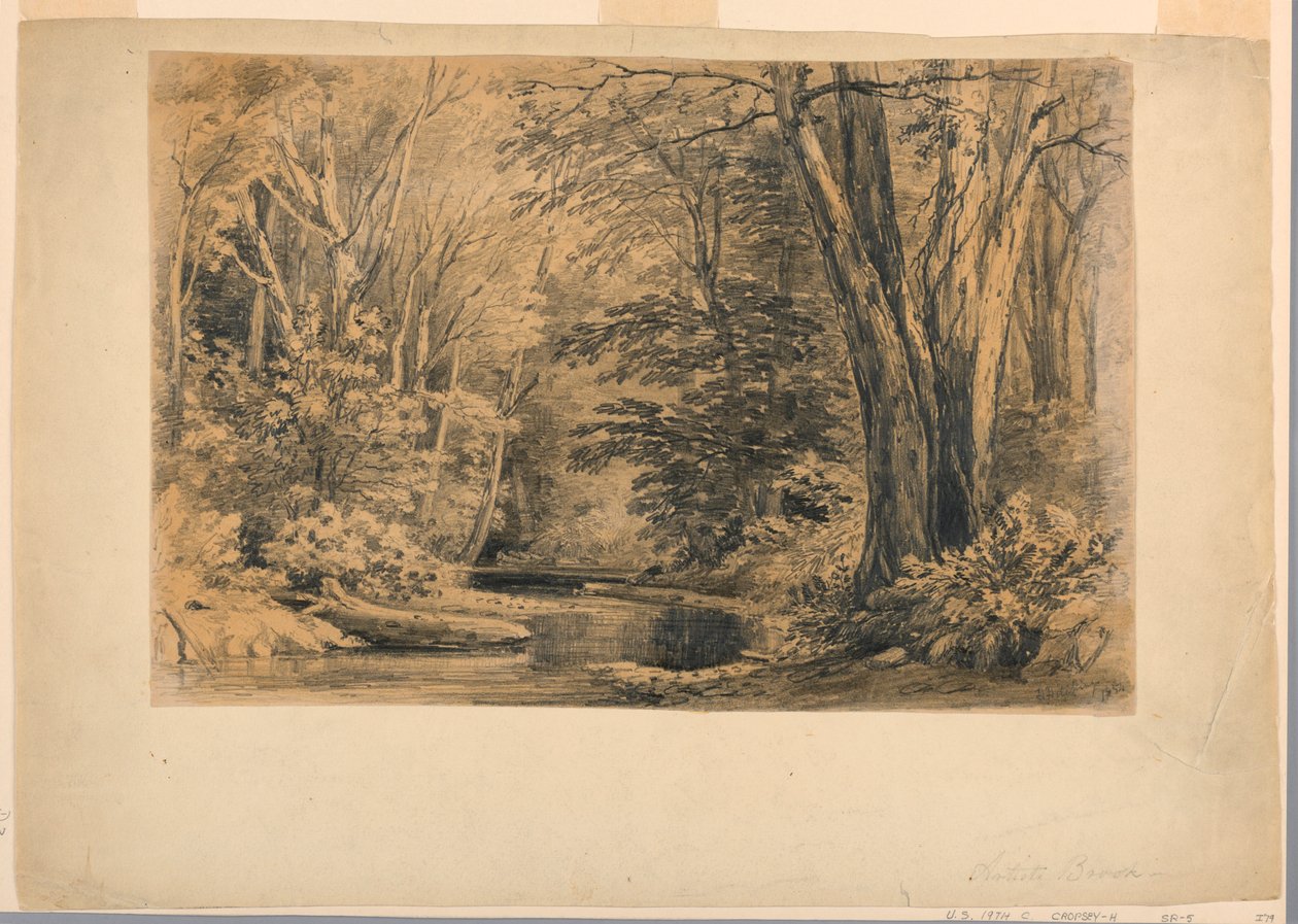 Rajz, Egy patak az erdőben, 1854 alkotó: Henry Hitchings