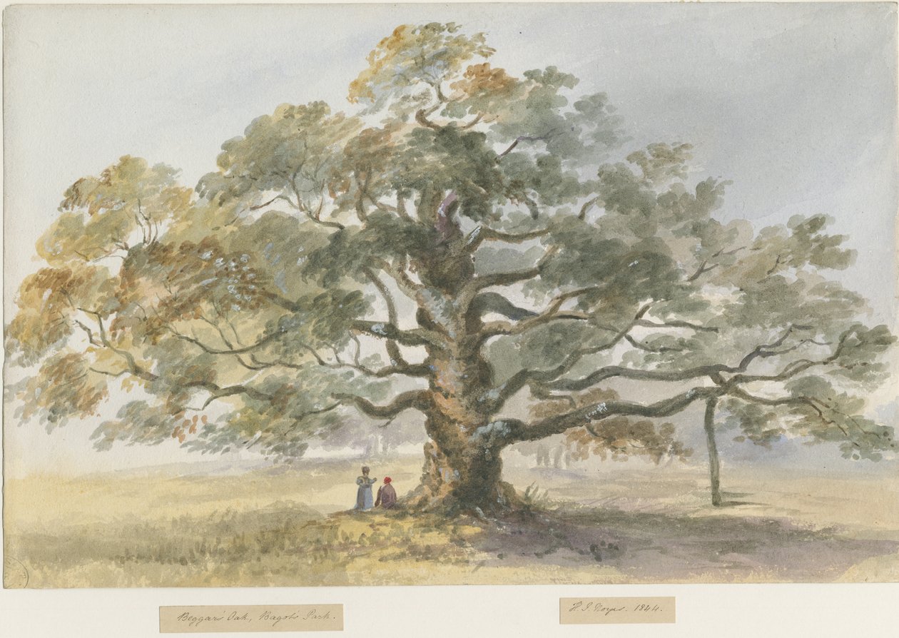 Blithfield – Koldustölgy: vízfestmény, 1844 alkotó: Henry James Noyes