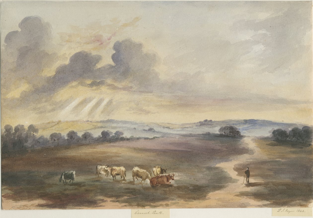 Cannock Chase - "Heath": vízfestmény, 1844 alkotó: Henry James Noyes
