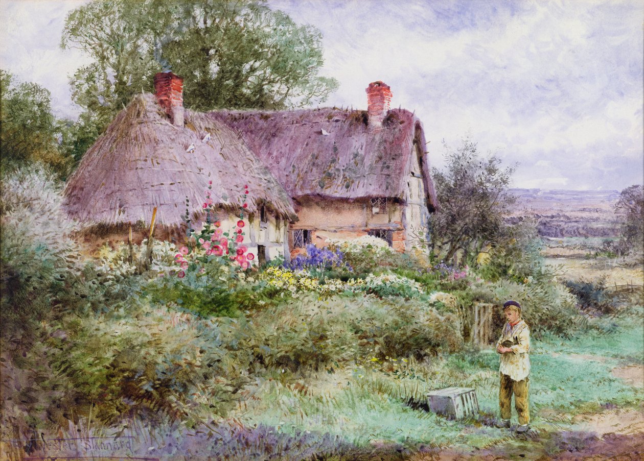 Az új kisállat (akvarell) alkotó: Henry John Sylvester Stannard