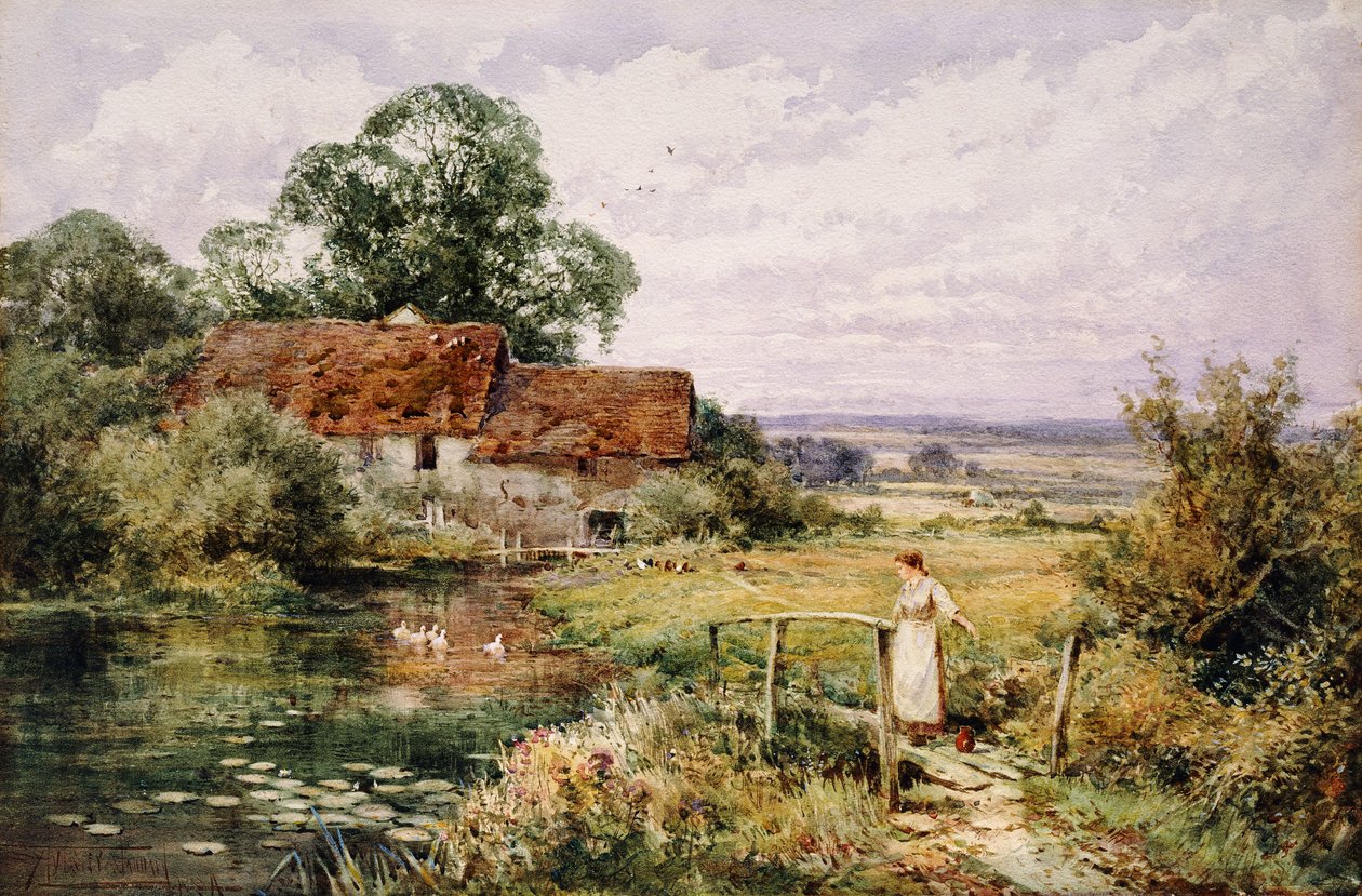 Nézni a kacsákat alkotó: Henry John Sylvester Stannard
