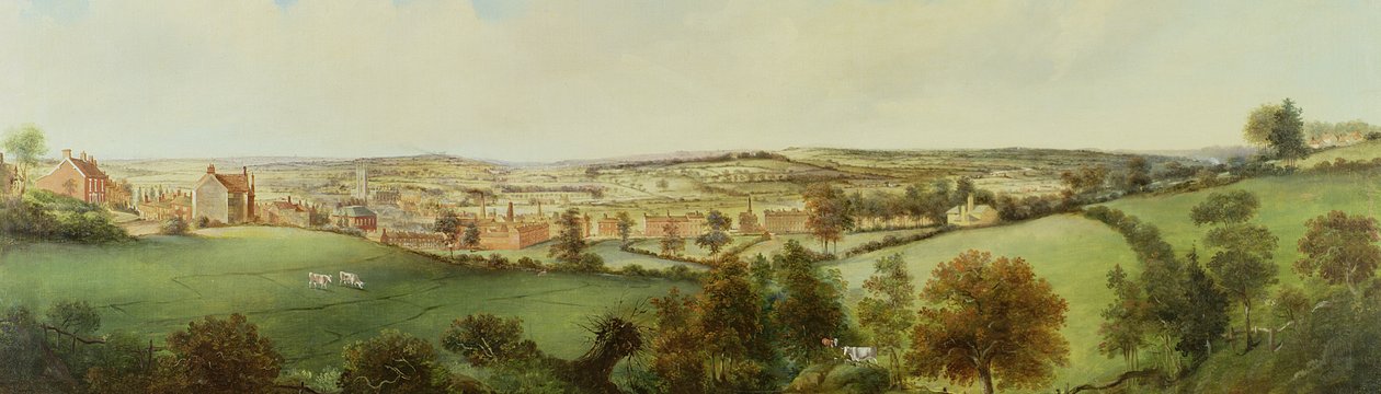 Panorámás kilátás Stoke on Trent városára alkotó: Henry Lark Pratt