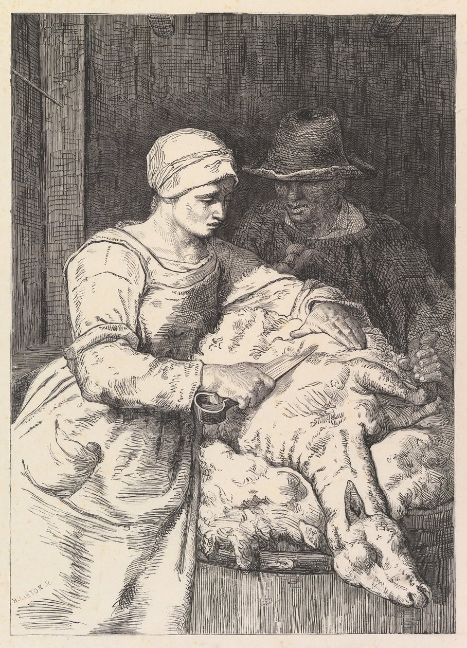 A báránynyíró, 19. század. alkotó: Henry Linton