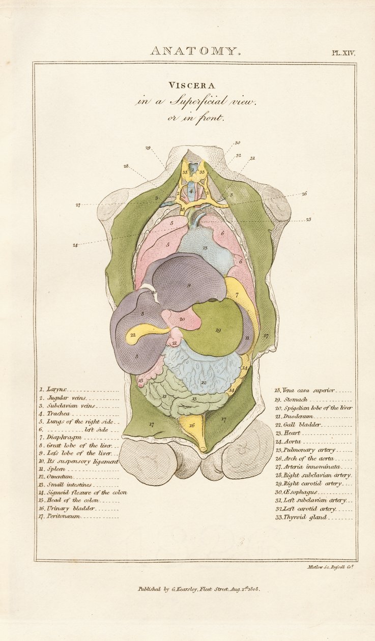  alkotó: Henry Mutlow