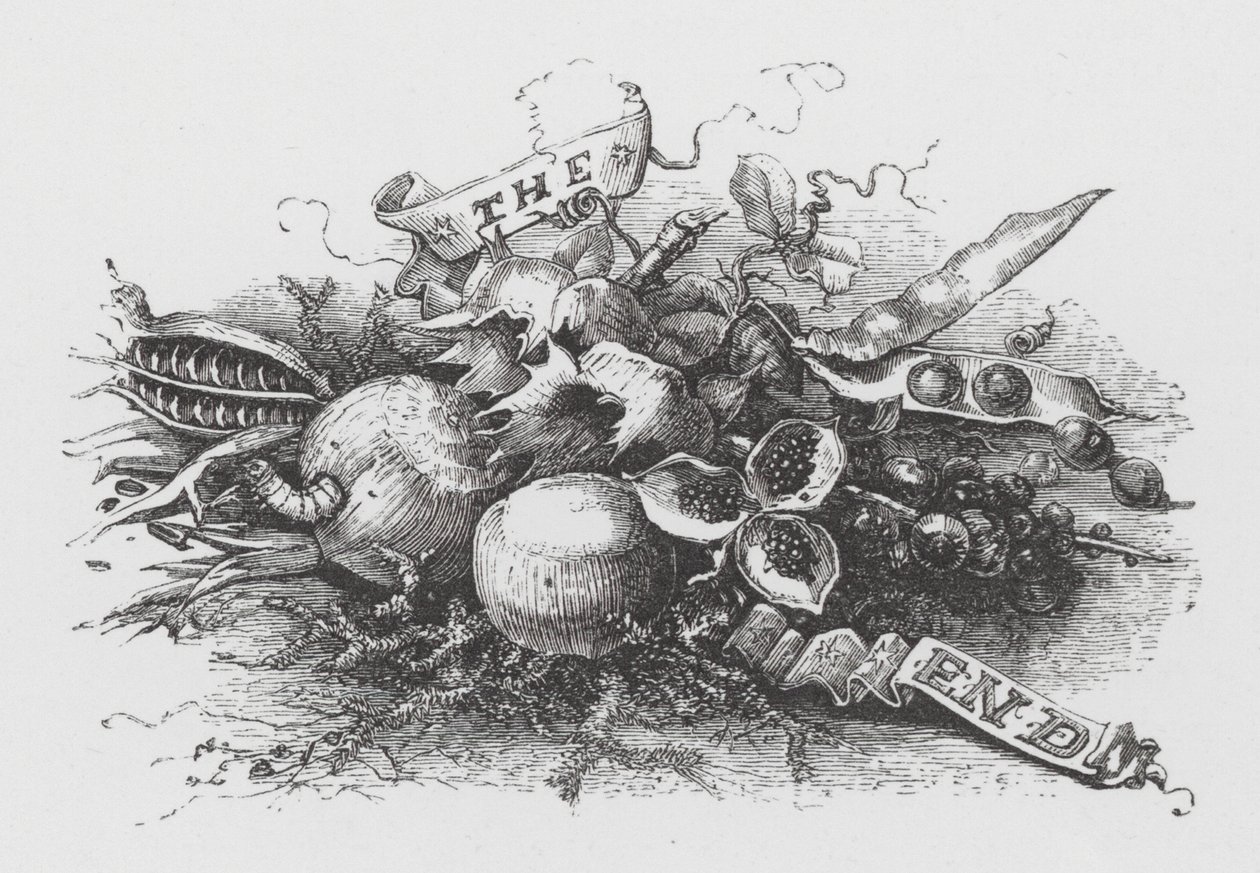 A vég (metszet) alkotó: Henry Noel Humphreys