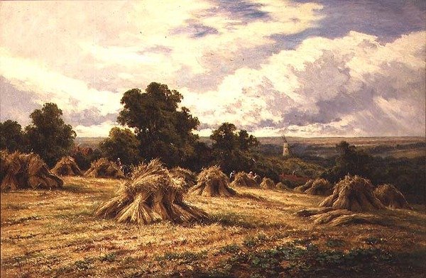 Betakarított mező alkotó: Henry Parker
