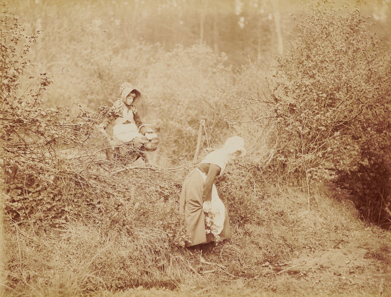 Sövényen és árkon át alkotó: Henry Peach Robinson