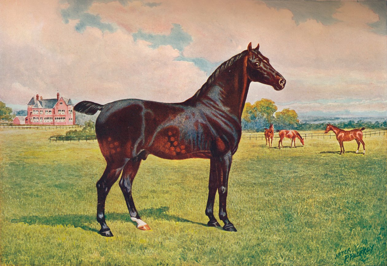 Hackney Pony mén Berkeley Modell, c1900 c1910 alkotó: Henry Powell Palfrey