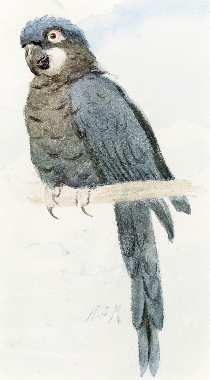 Jácint ara, 1890 körül alkotó: Henry Stacey Marks
