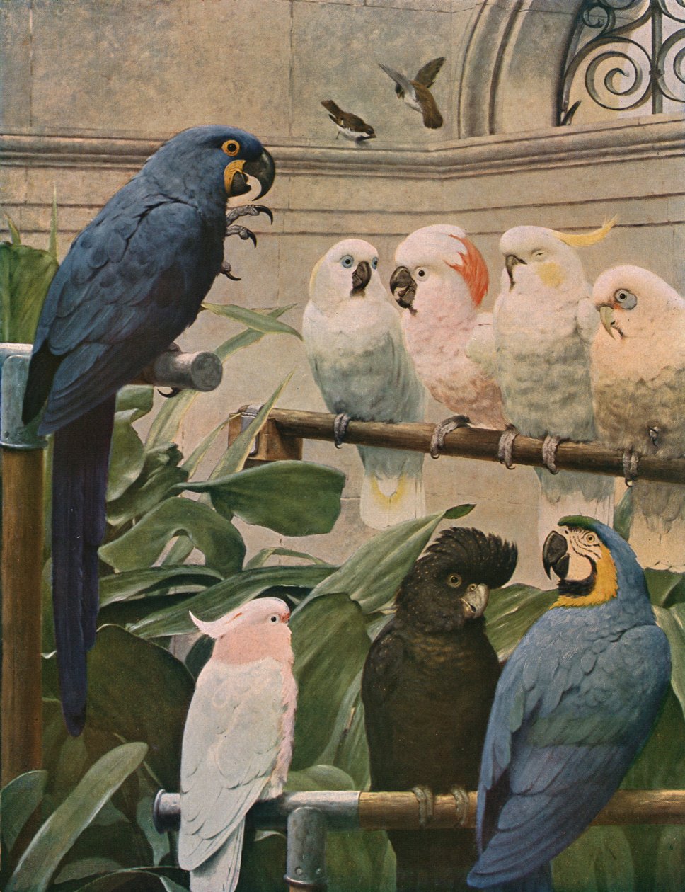 Egy válogatott bizottság, 1891, c1930. alkotó: Henry Stacey Marks