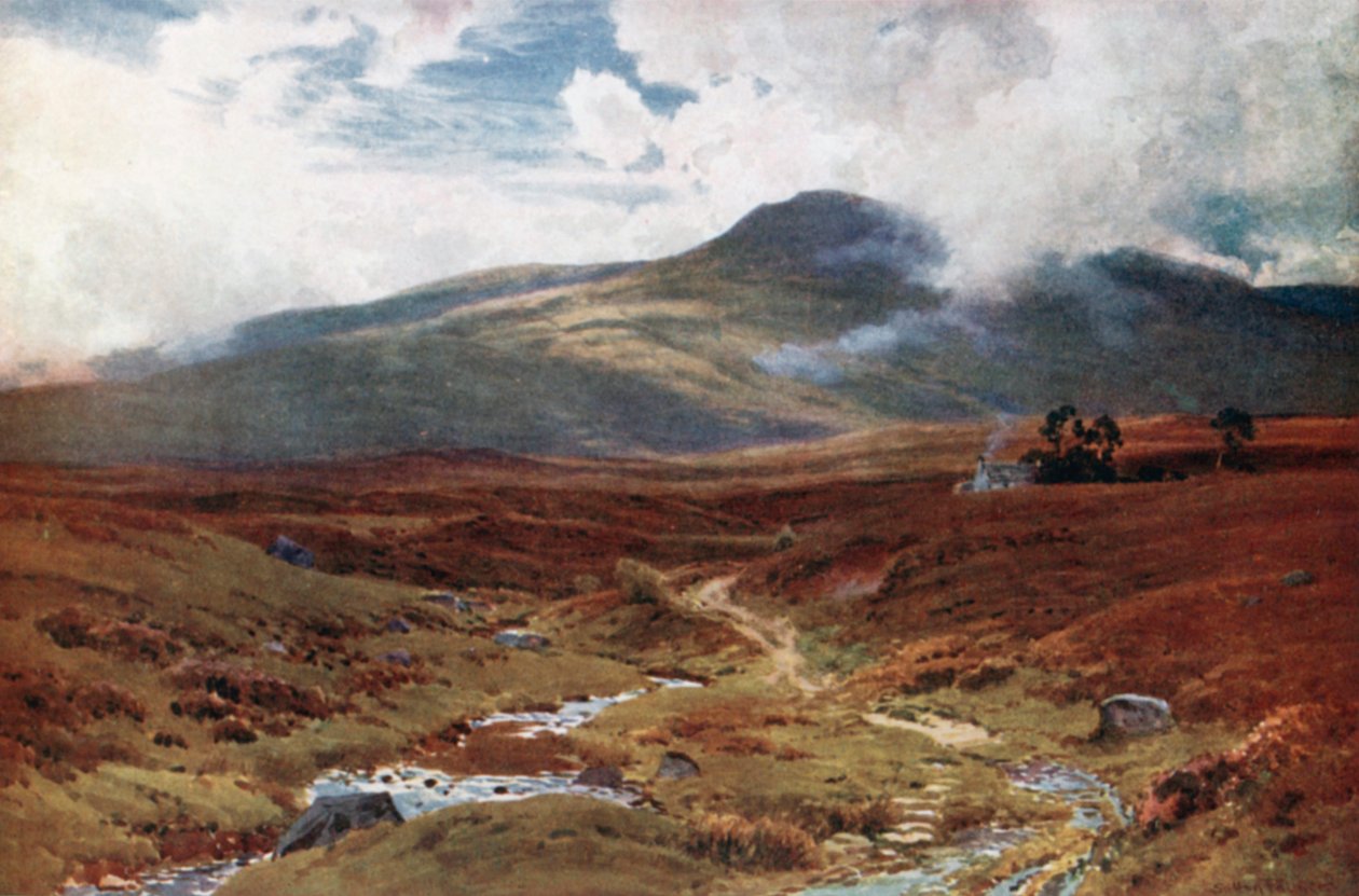 Egy mocsár Killin közelében, Perthshire (színes lithó) alkotó: Henry Sutton Palmer
