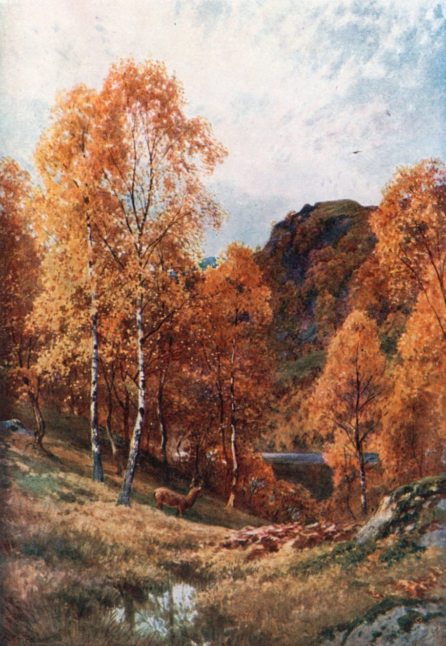 Arany ősz, Trossachs, Perthshire (színes litográfia) alkotó: Henry Sutton Palmer