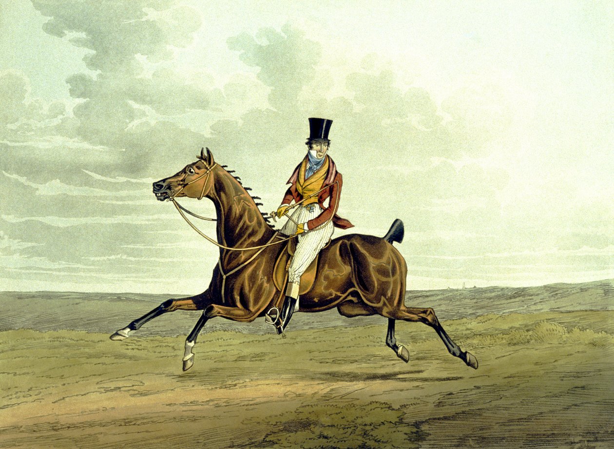A meltonian olyan, amilyen, a 