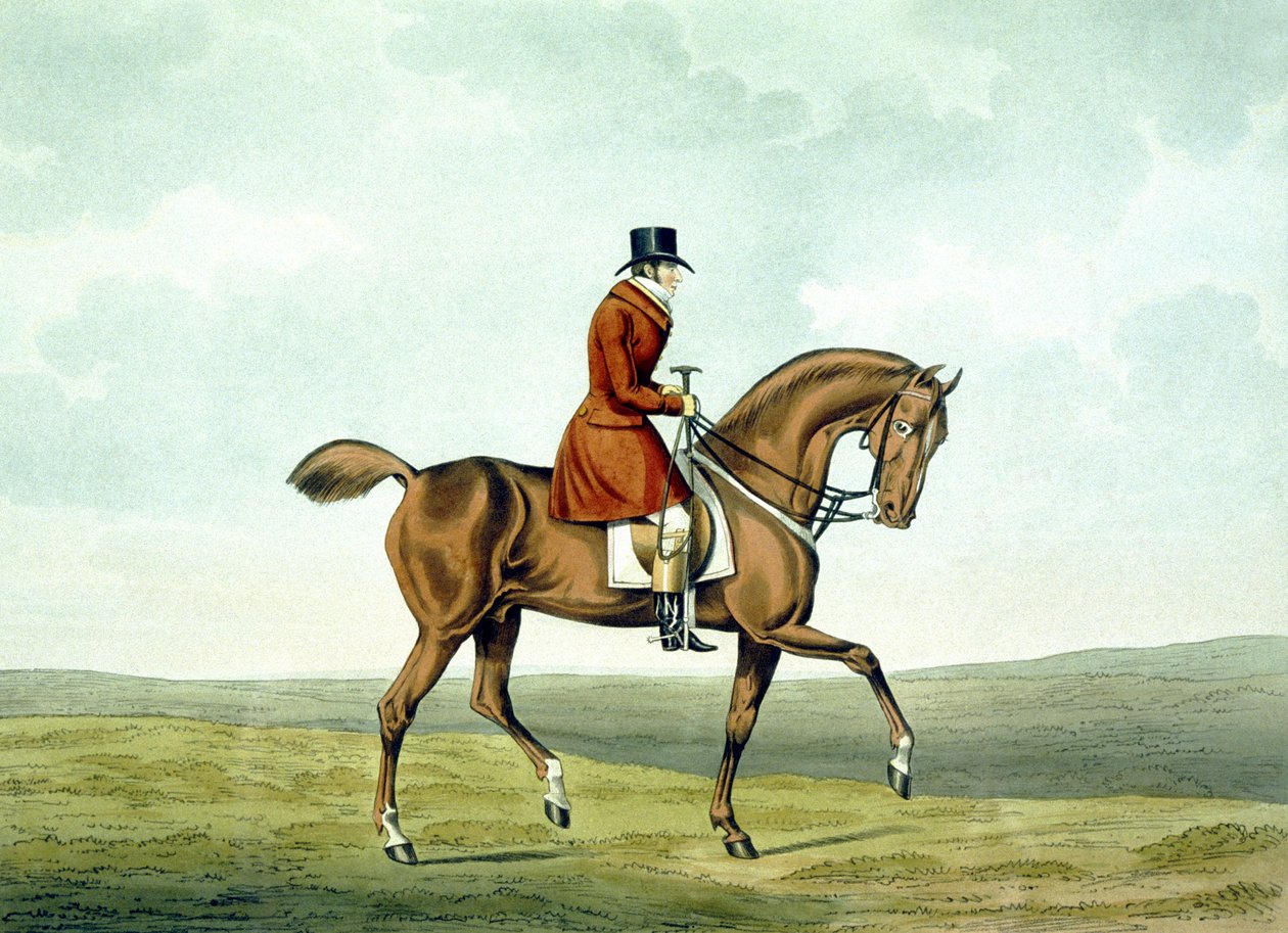 Egy meltonian, ahogy volt, a Meltoniakból, vésette George Hunt alkotó: Henry Thomas (after) Alken