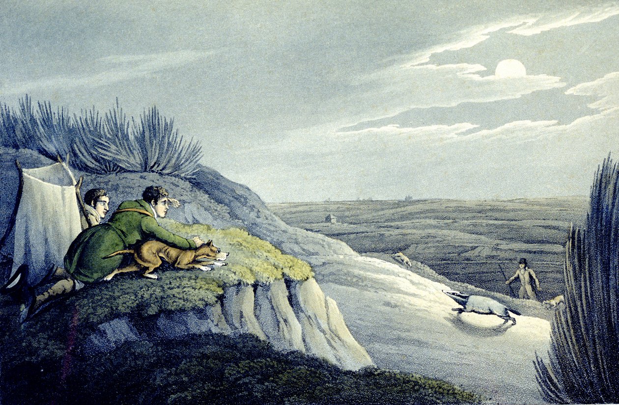 Borzfogás a Nagy-Britannia Nemzeti Sportjából, vésett J.H. Clarke alkotó: Henry Thomas (after) Alken