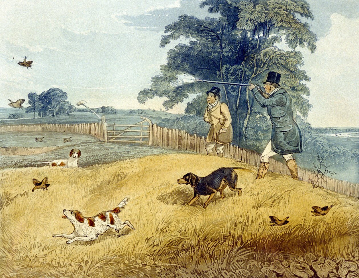 Flushing Birds, "Partridge Shooting" lemez, vésette Joseph Clayton Bentley (1809-51) 1835 (színes metszet) alkotó: Henry Thomas (after) Alken