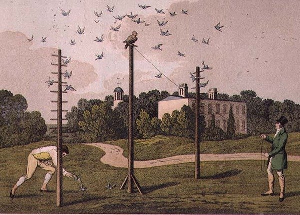 Bagoly, metszette I. Clark, kocsma. szerző: T. McLean, London alkotó: Henry Thomas (after) Alken