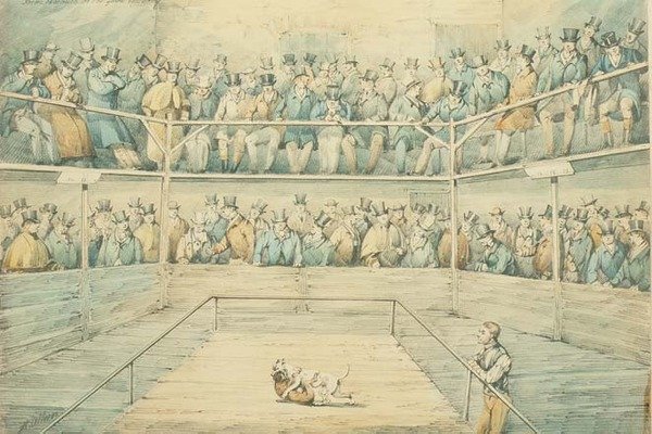 Kutyaviadal a Westminster Pittben alkotó: Henry Thomas Alken