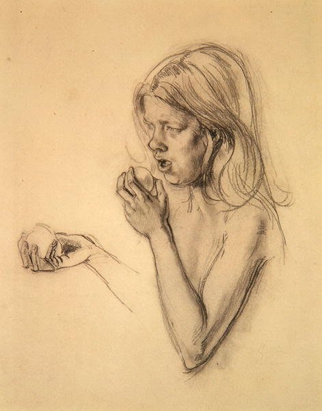Egy lány feje és vállai, mint Éva (?) (kréta papíron) alkotó: Henry Tonks