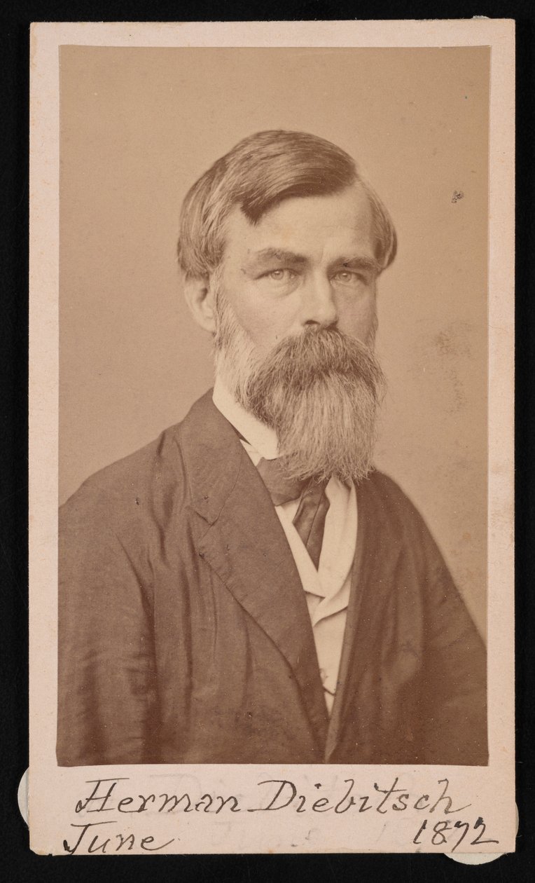 Herman Henry Diebitsch portréja 1818-1883, 1871. alkotó: Henry Ulke