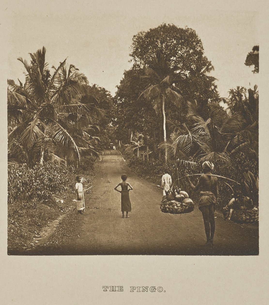 A Pingo alkotó: Henry W. Cave