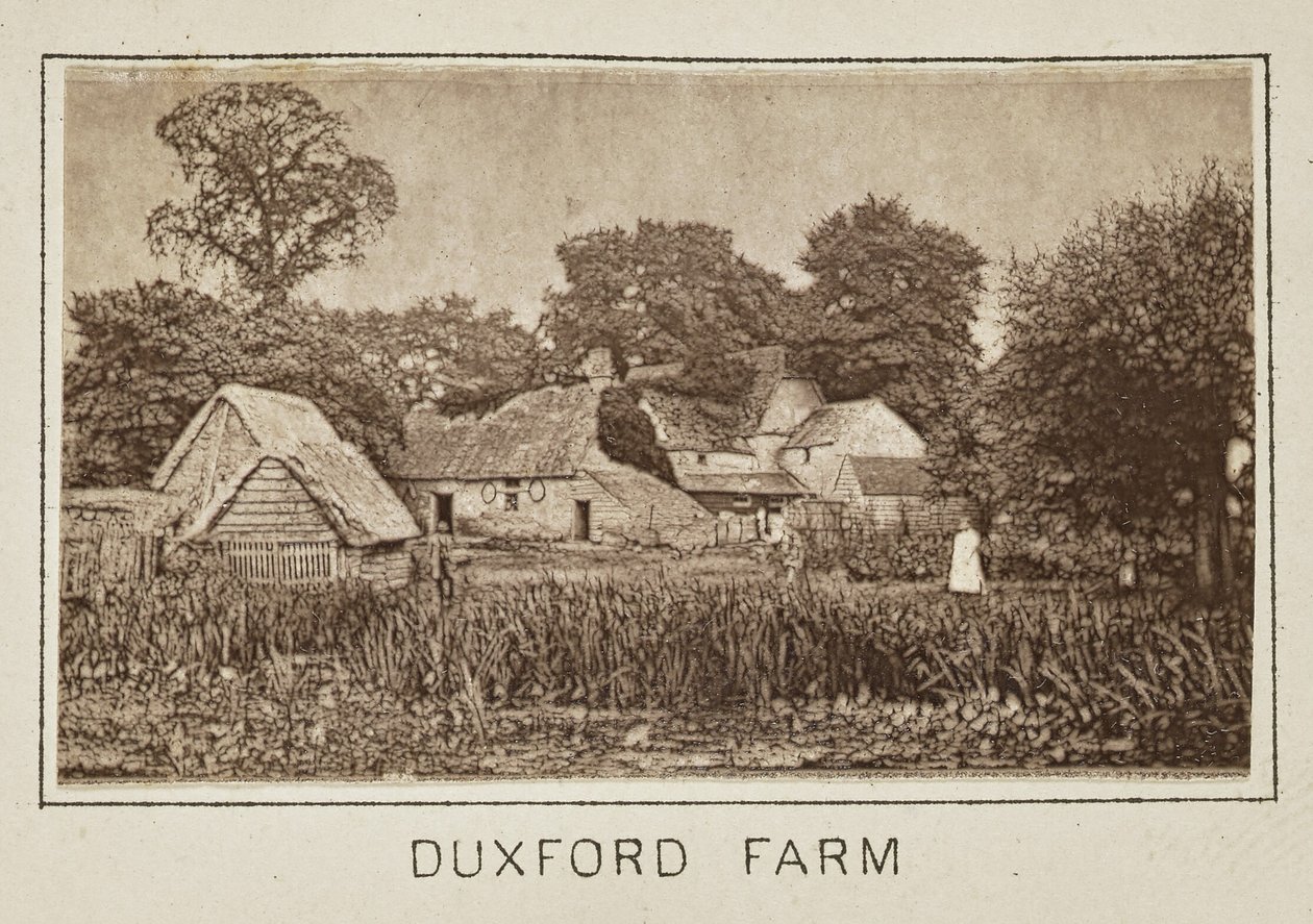 Duxford Farm alkotó: Henry W. Taunt