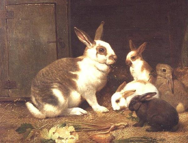Nyulak etetése alkotó: Henry William Carter