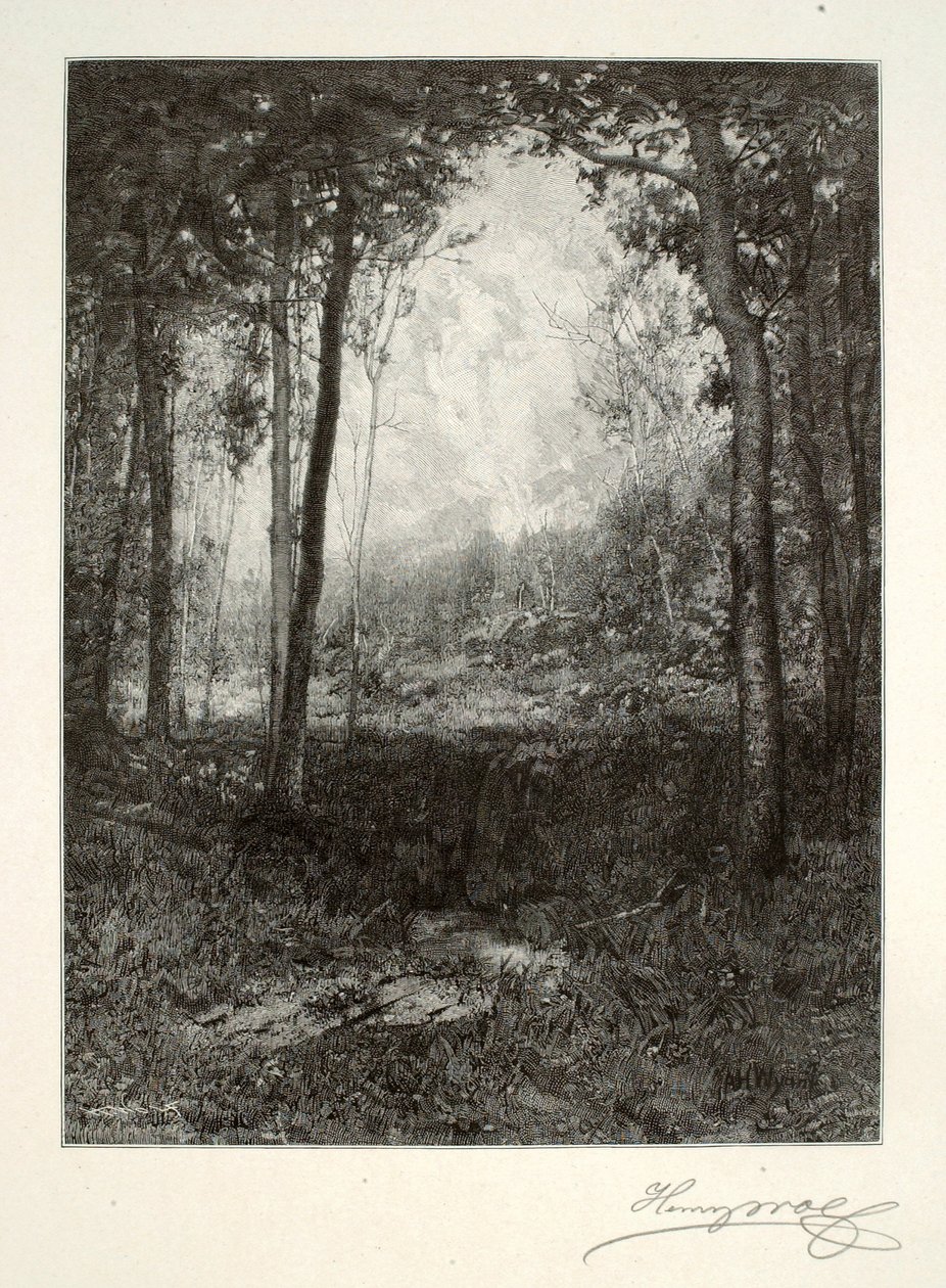 Az Adirondacksben alkotó: Henry Wolf