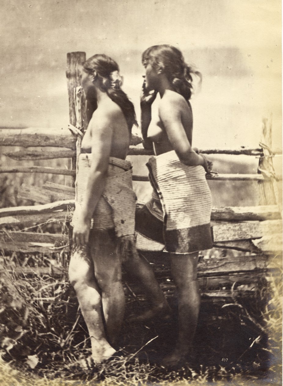 Maori Tanulmány, 1870 körül (albumnyomat) alkotó: Herbert Deveril