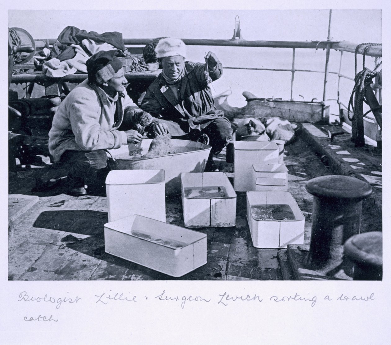 Lillie biológus és Levick sebész a „Scott utolsó expedíciója” nevű „Terra Nova” fedélzetén egy vonóhálós fogást válogat. alkotó: Herbert Ponting