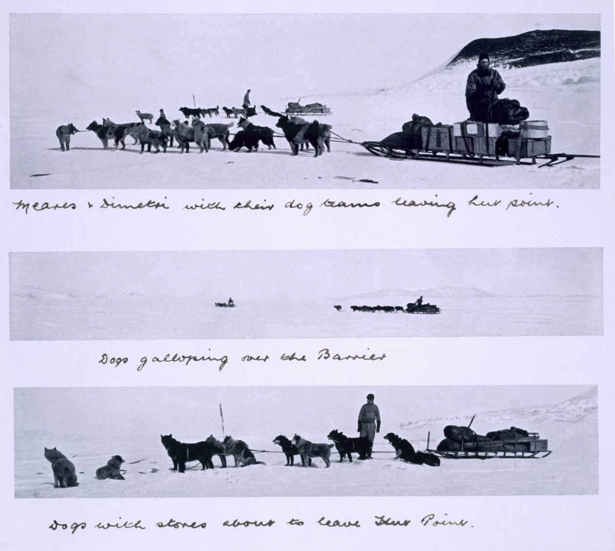 A Meares és Dimetri által vezetett kutyacsapatok három képe a „Terra Nova” expedíción (1910-13) a Déli-sarkra, Scott kapitány vezetésével alkotó: Herbert Ponting