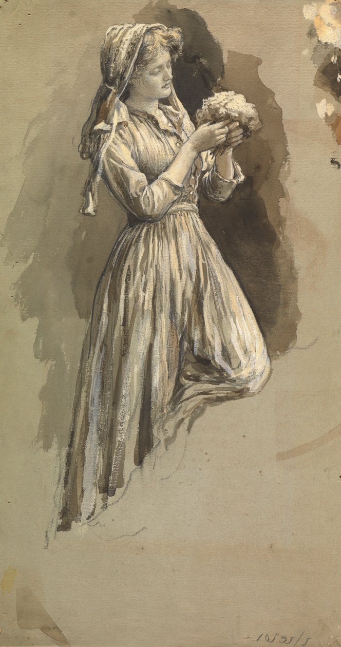 Lány Posy-val (toll, tinta és mosás papíron) alkotó: Herbert Thomas Dicksee