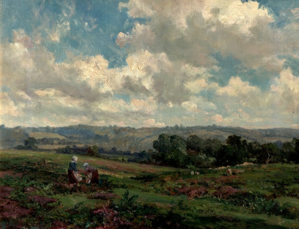 Fields in Surrey, 1890 alkotó: Herbert Hughes Stanton